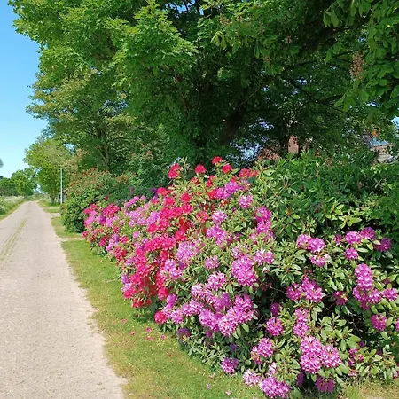 Bonishof بيت للعطل *